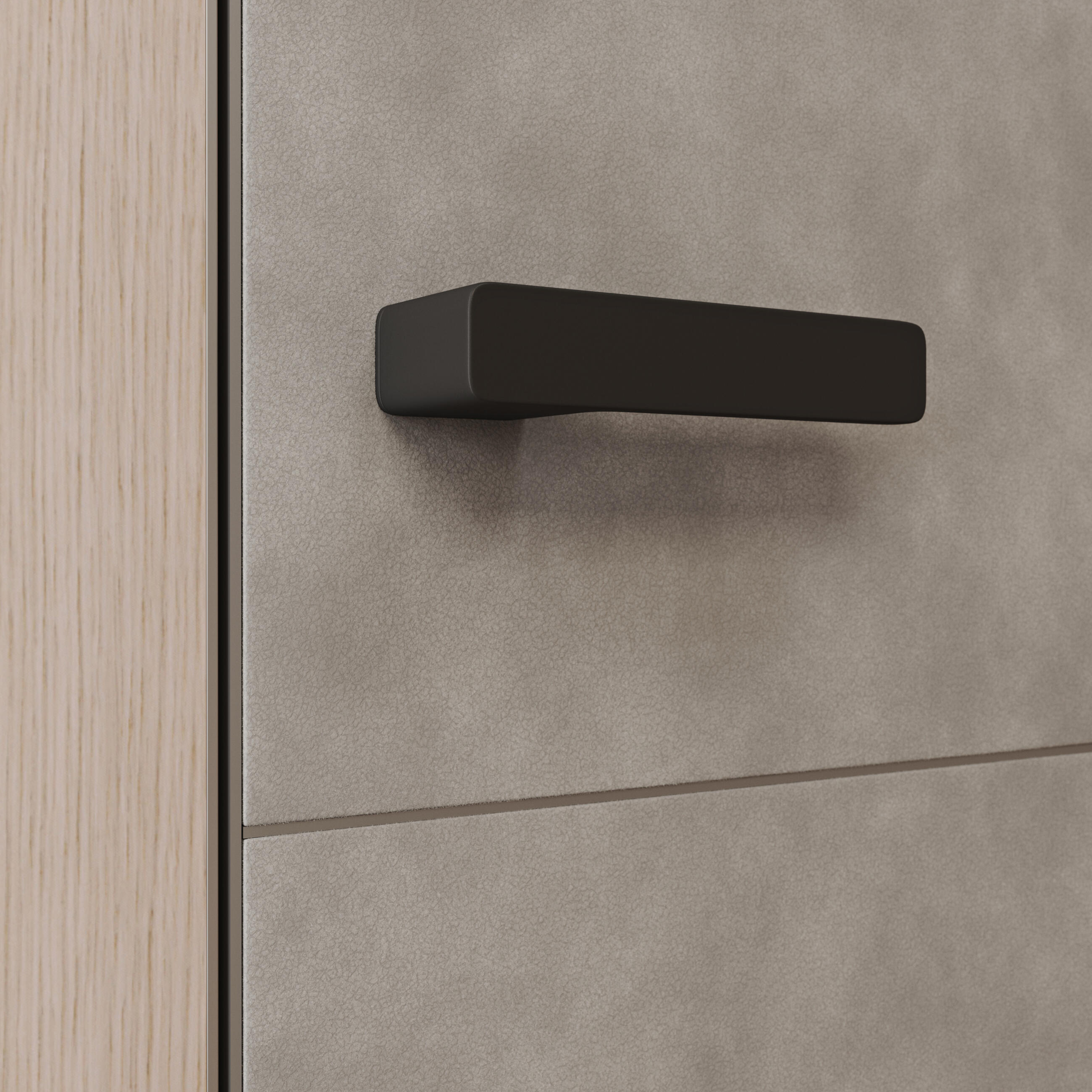 Dveře Master s kůží