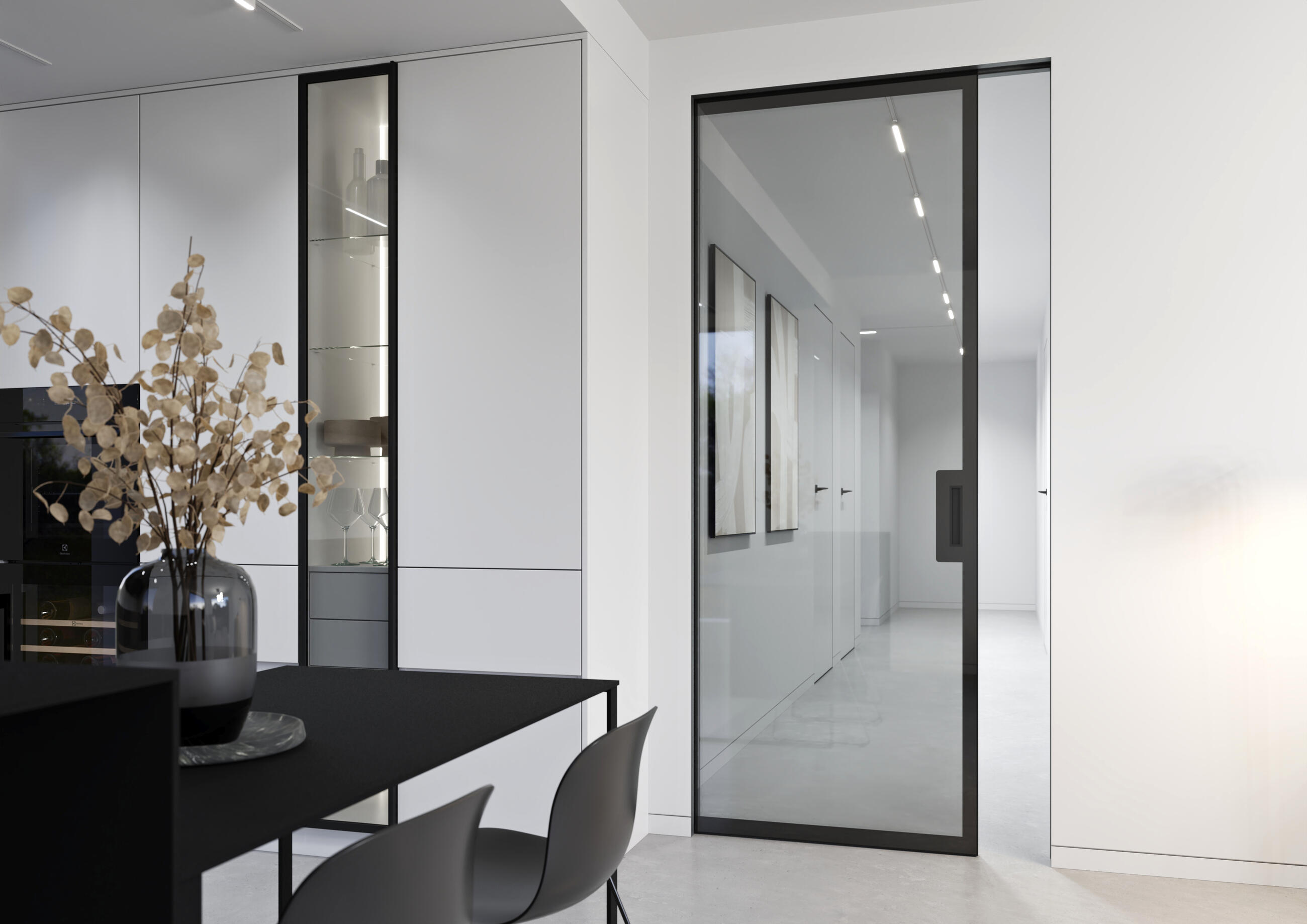 Dveře Master Clear v pouzdře