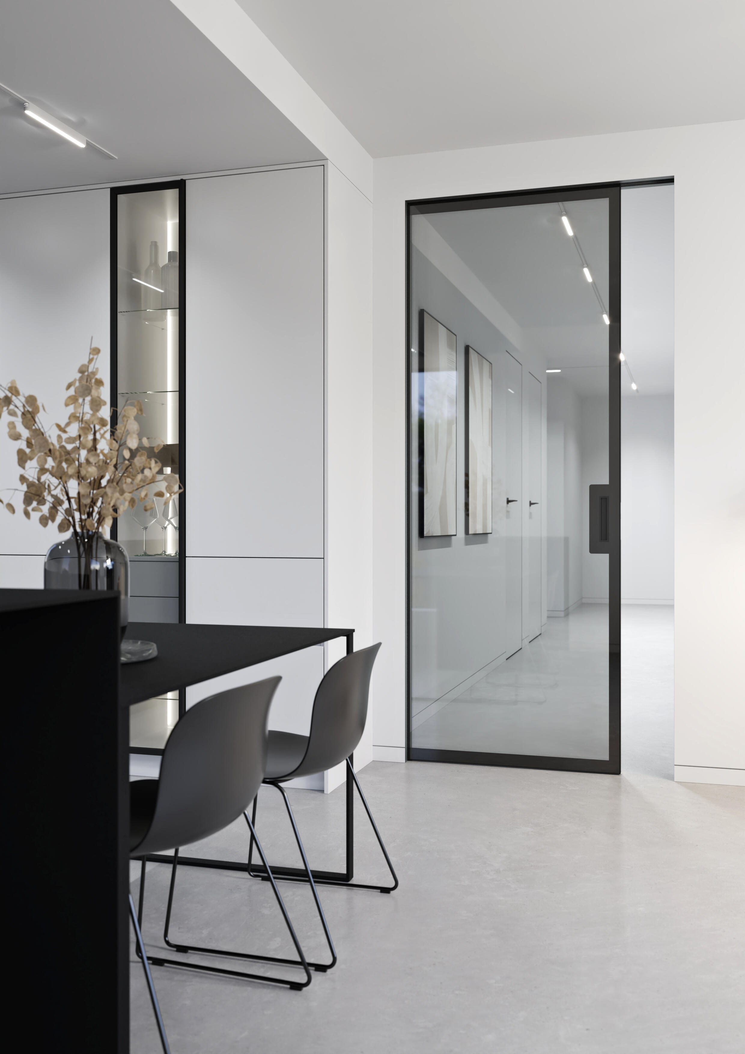 Dveře Master Clear v pouzdře