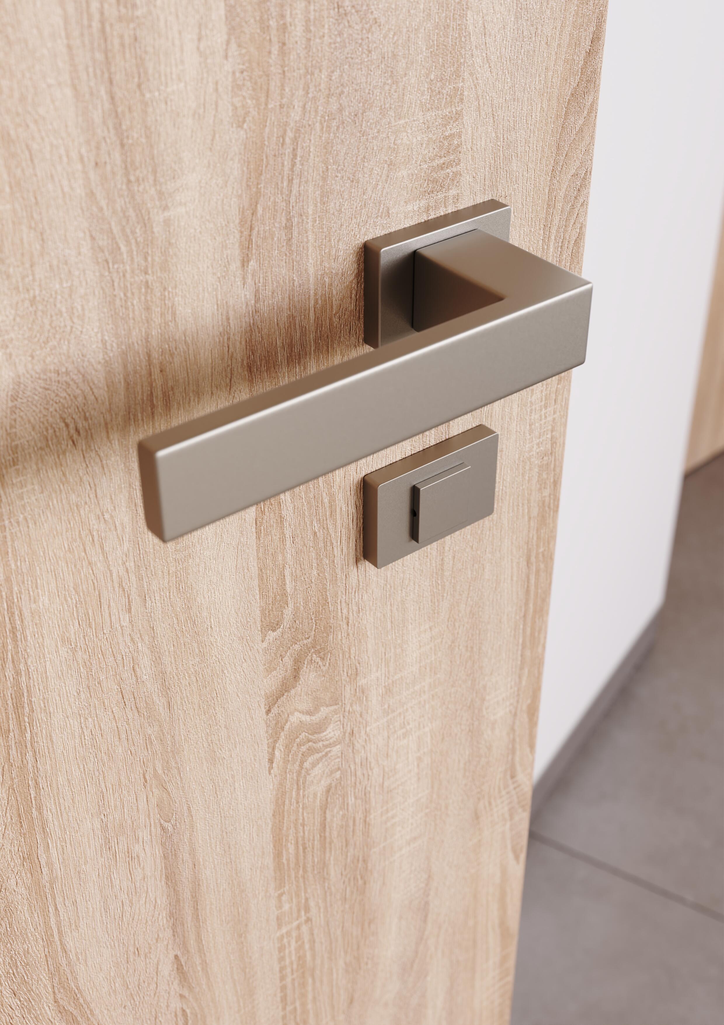 Въртяща се врата Clever